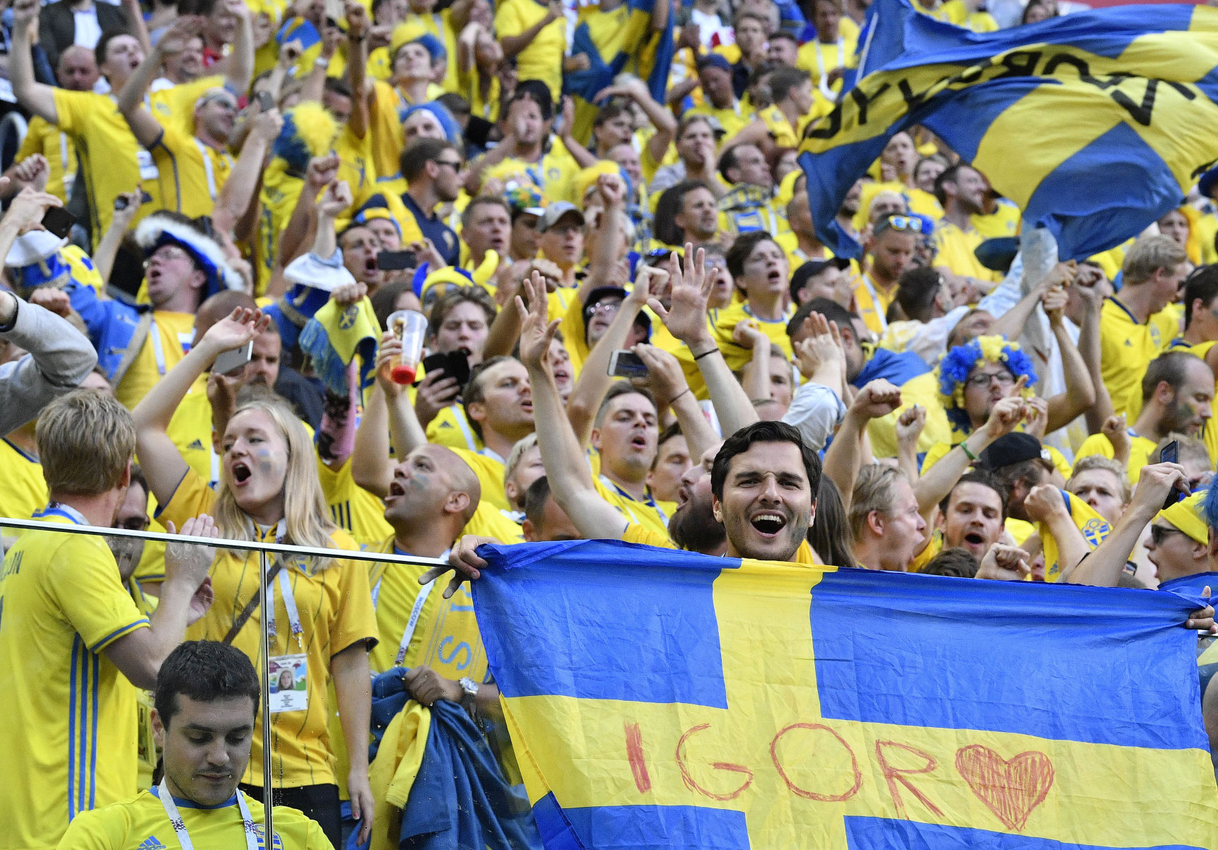 Sweden fans celebrate